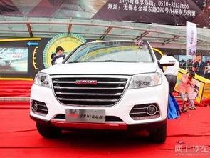 年轻人买国产车视频播放