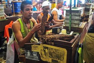 国产雪茄工厂实拍视频,匠心独运，传承经典