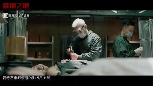 国产悬疑儿歌推荐大全视频,跟随推荐大全视频探寻童声中的悬疑魅力