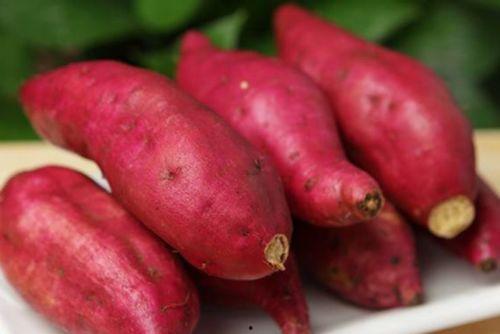 外国人吃中国产地瓜视频,感受瓜乡风情