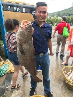 国产野猪视频大全,视频大全中的自然奇观与生态魅力