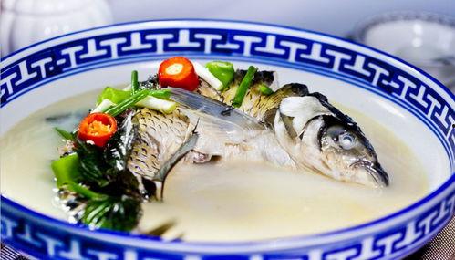 清水鱼视频国产