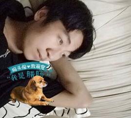 威哥视频 国产 直播,国产直播领域的璀璨明珠