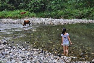 国产抓虾视频大全,捕捉海洋魅力，尽享视觉盛宴